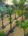palmierscordoue